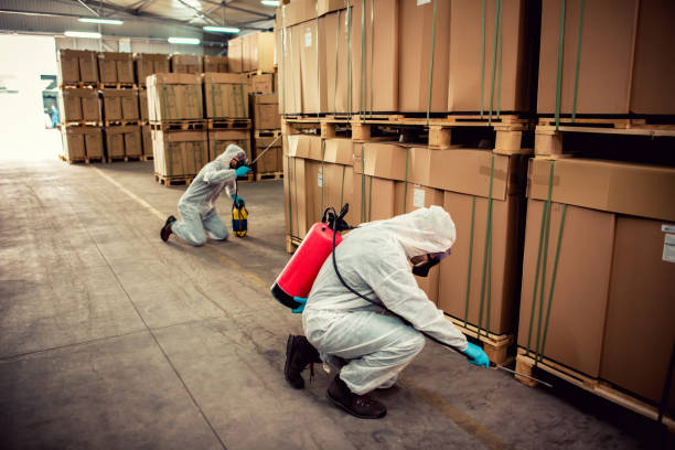 Best Residential Pest Control  in West Carthage, NY