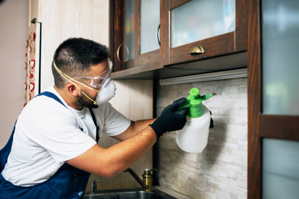 Best Pest Removal Services  in West Carthage, NY