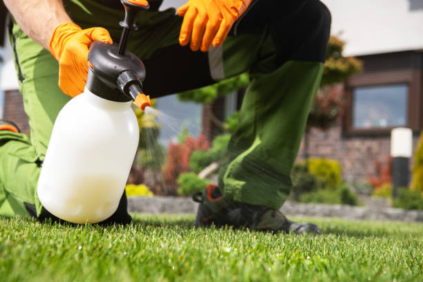 Professional Pest Control in West Carthage, NY