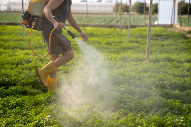 Best Pest Prevention Services  in West Carthage, NY