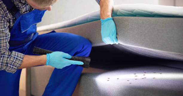 Best Affordable Pest Control Services  in West Carthage, NY