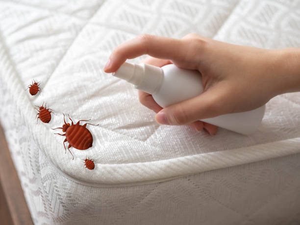Best Residential Pest Control  in West Carthage, NY